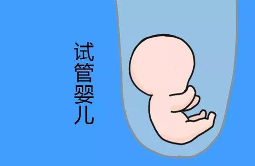 胚胎培养室
